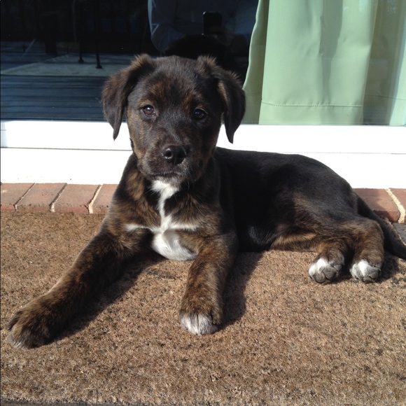 Meet your Posher, Alyssia - Picture 3 of 4